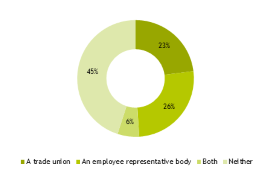 Pie chart showing 23% have a recognised trade union, 26% an employee representative body, 6% have both and 45% have neither.