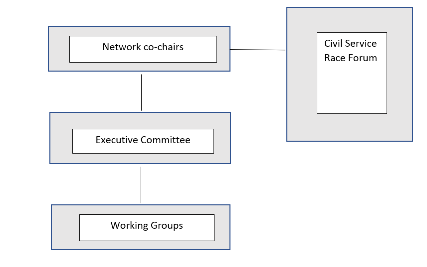 Diagram showing that network co-chairs sit above an executive committee that sits above working groups. The network co-chairs work alongside the Civil Service Race Forum.