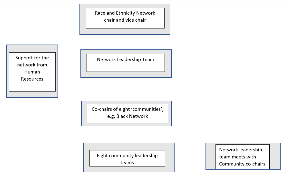 Diagram showing that the network chair and vice chair sit above the network leadership team, and that sits above community co-chairs then community leadership teams. The community leadership teams work with community co-chairs, and HR supports the whole structure.